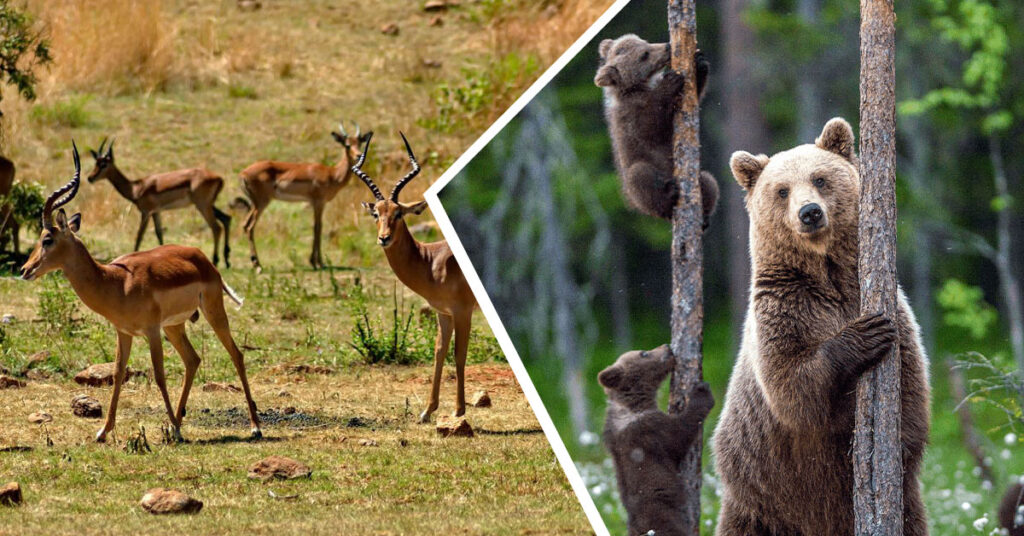 عالمی یومِ مساکن 2025