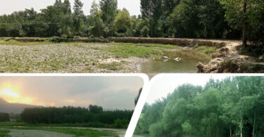 فطرت پر مبنی حل