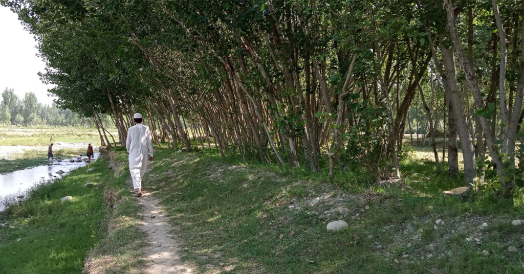 فطرت پر مبنی حل