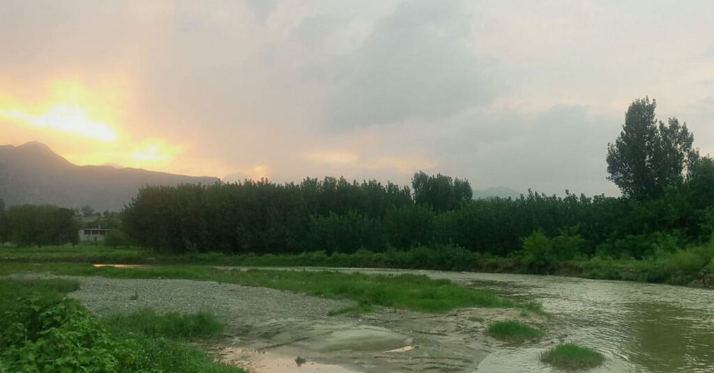 فطرت پر مبنی حل