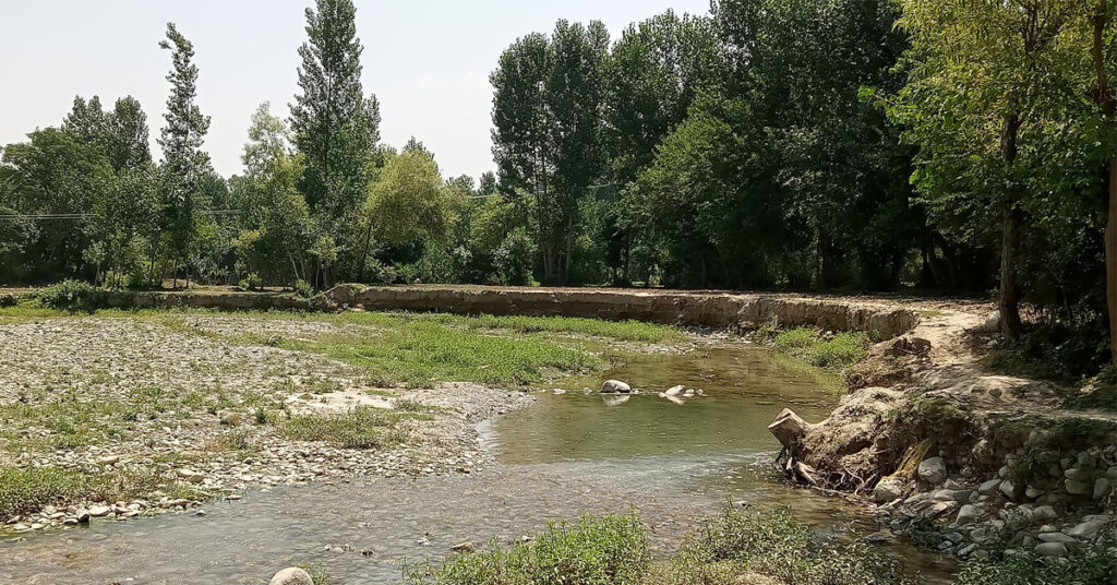 فطرت پر مبنی حل