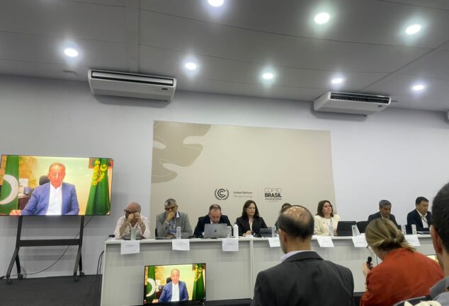 موسمیاتی تبدیلی کی وجہ سے پاکستان کے گلیشیئرز کا پگھلنا، ماحولیات پر اثرات اور موافقت کی ضرورت