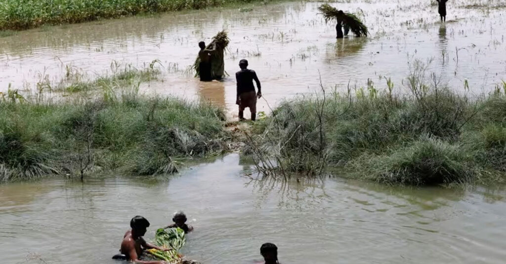 قدرتی آفات کے باعث کسانوں اور ماہی گیروں کو ایف اے او رپورٹ کے مطابق 99 ارب ڈالر سالانہ نقصان، موسمیاتی تبدیلی کے اثرات اور عالمی غذائی بحران۔