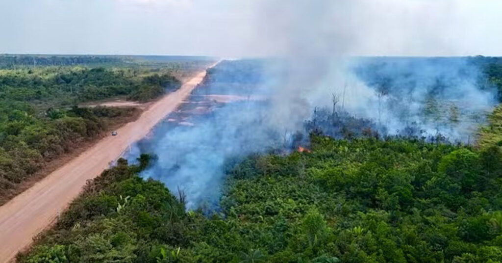 COP30 بیلیم میں عالمی پیش رفت، ایمیزون جنگلات میں سڑک کی تعمیر، انڈیجینس احتجاج اور موسمیاتی بحران سے متعلق غیر رپورٹ شدہ حقائق