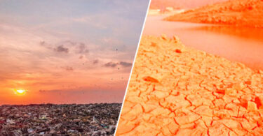 پاکستان میں زمین کی زرخیزی میں کمی اور فصلوں کی گرتی پیداوار — ماحولیاتی بحران کی نئی شکل