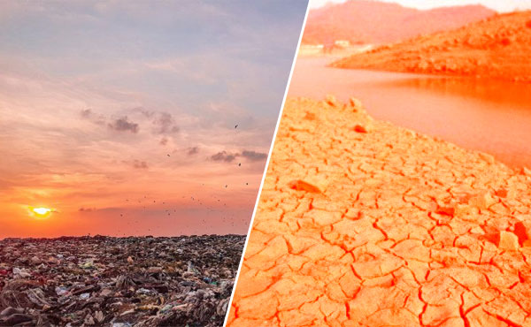 پاکستان میں زمین کی زرخیزی میں کمی اور فصلوں کی گرتی پیداوار — ماحولیاتی بحران کی نئی شکل