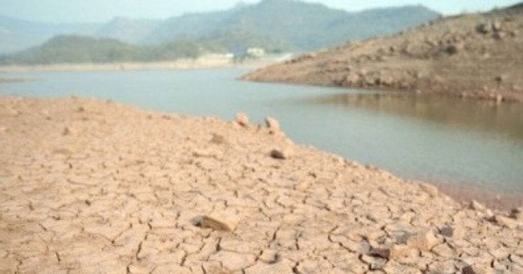 پاکستان میں زمین کی زرخیزی میں کمی اور فصلوں کی گرتی پیداوار — ماحولیاتی بحران کی نئی شکل