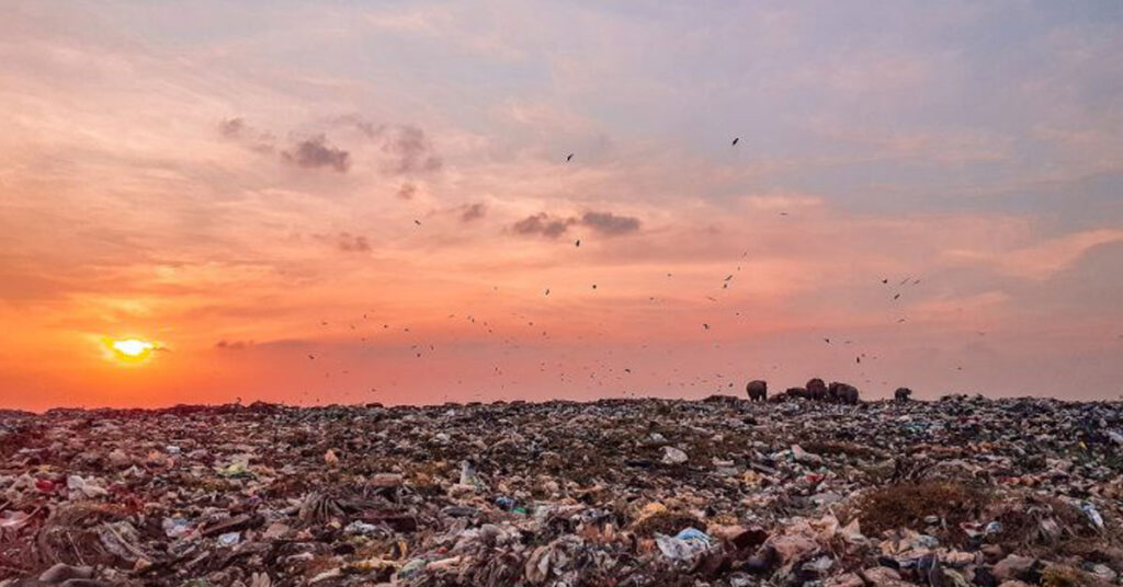 پاکستان میں زمین کی زرخیزی میں کمی اور فصلوں کی گرتی پیداوار — ماحولیاتی بحران کی نئی شکل