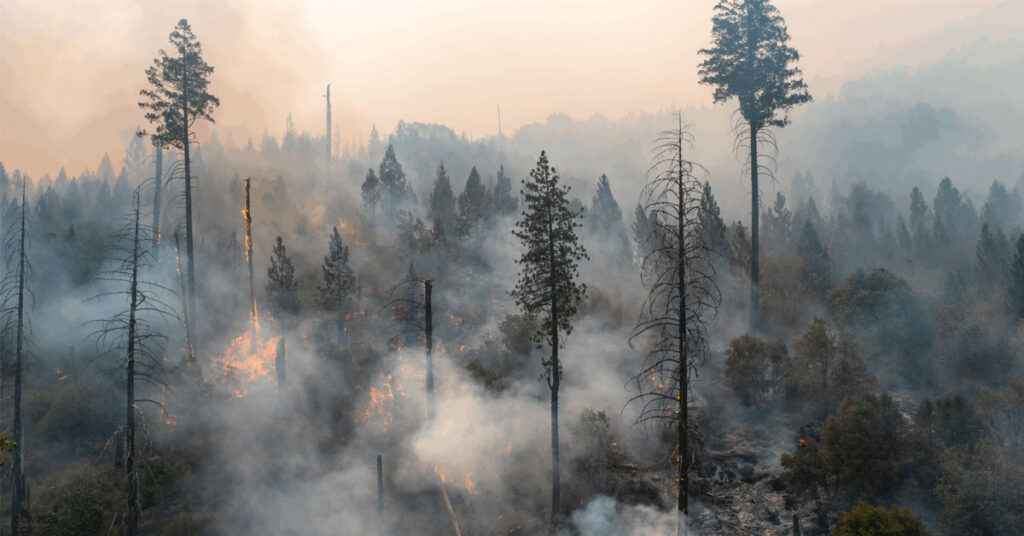 2025 کی موسمیاتی تباہی جس میں ہیٹ ویوز، سیلاب اور ماحولیاتی ناانصافی عالمی نظام کی ناکامی کو ظاہر کر رہی ہے