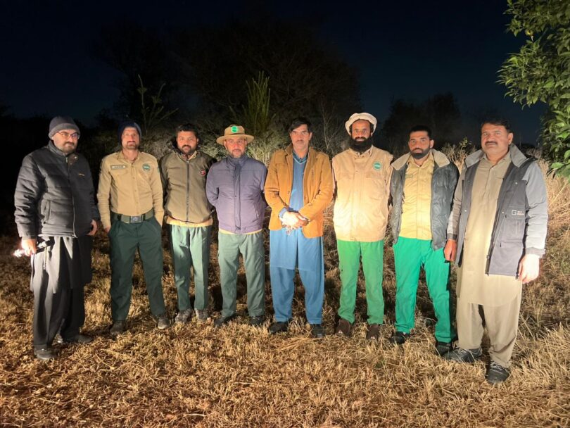 اسلام آباد کے گنجان علاقے میں دیکھا گیا تیندوا، ماہرین کے مطابق تیندوا انسان دوست نہیں، احتیاط ضروری