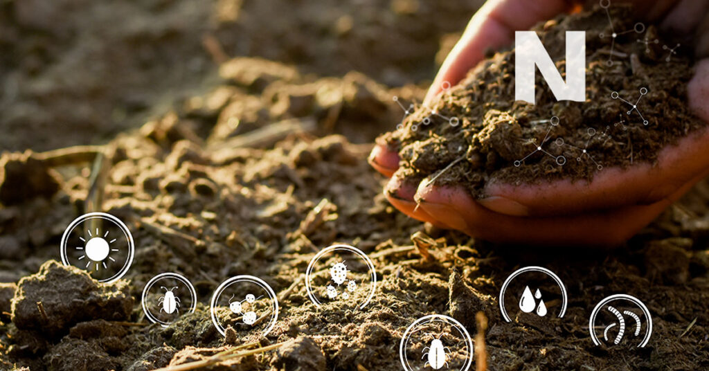 ایگرو کارپوریشنز کا اثر، زمین کی چیخیں، جنگلات کی کٹائی، پانی کی تباہی، اور کارپوریٹ زرعی اجارہ داری سے ماحولیات کو پہنچنے والا نقصان