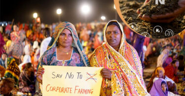 ایگرو کارپوریشنز کا اثر، زمین کی چیخیں، جنگلات کی کٹائی، پانی کی تباہی، اور کارپوریٹ زرعی اجارہ داری سے ماحولیات کو پہنچنے والا نقصان