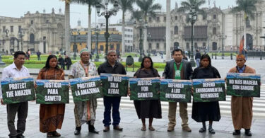 ماحولیاتی کارکنوں کا قتل، زمین، پانی اور جنگلات کے تحفظ کے لیے آواز اٹھانے والے کارکن عالمی سطح پر خطرات کا سامنا کر رہے ہیں