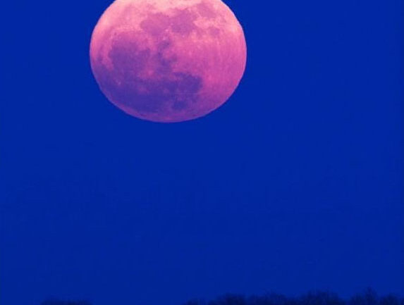 پاکستان میں دسمبر 2025 کا سپر مون، 15 فیصد زیادہ روشن اور 7.9 فیصد بڑا چاند رات کے آسمان میں واضح طور پر چمکتا ہوا۔