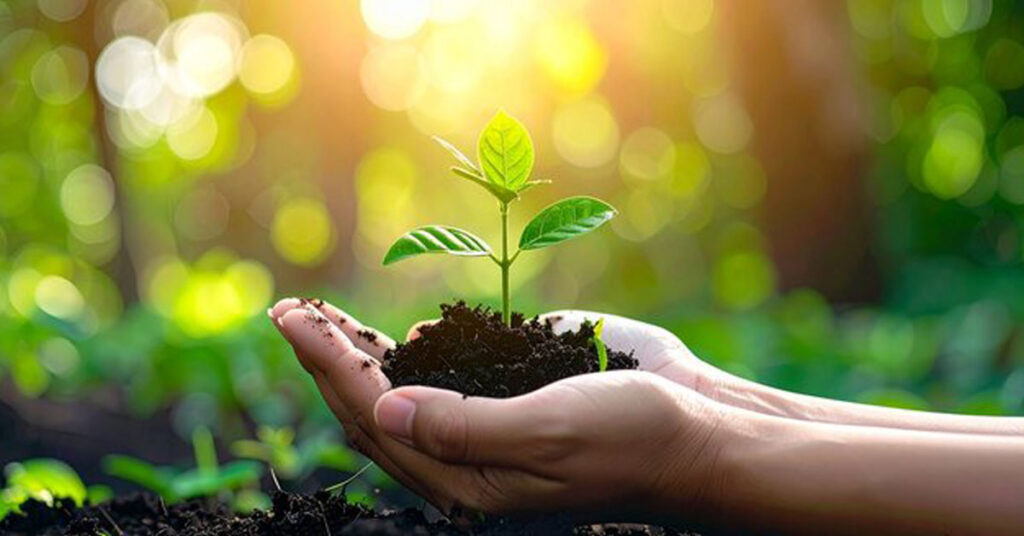 Sunlit earth with healthy soil and plant roots — representation of soil health for World Soil Day