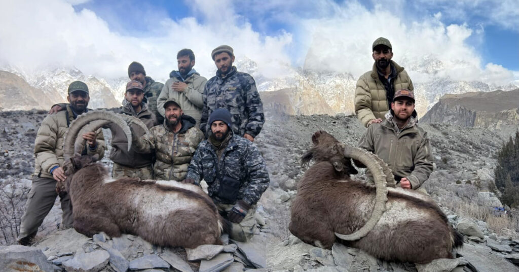 بالائی ہنزہ میں 45 انچ سینگ والے ہمالیائی آئی بیکس کے شکار کا منظر، کمیونٹی کنزرویشن ہنٹنگ ایریا حسینی