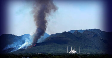Satellite view of Islamabad forests showing deforestation, urban sprawl, and environmental degradation. Highlights the impact of tree felling, Paper Mulberry removal, and loss of green cover in the capital city.