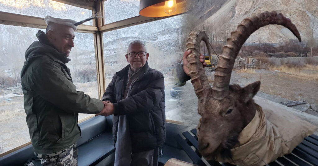 45-inch horned Himalayan Ibex hunted during Gilgit Baltistan trophy hunting season in Upper Hunza