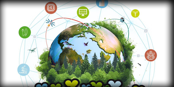 Global forest products sector recovery according to FAO 2024 report