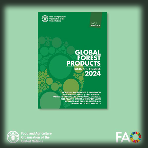 Global forest products sector recovery according to FAO 2024 report