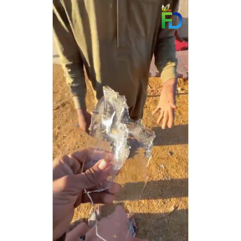 Severe cold wave in Karachi with ice forming in water during single-digit temperatures