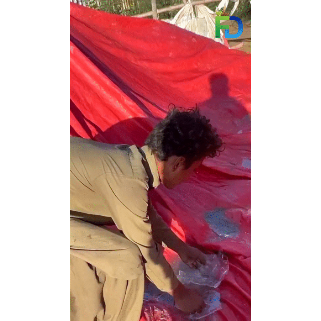 Severe cold wave in Karachi with ice forming in water during single-digit temperatures