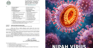 Nipah Virus health alert issued in Sindh Pakistan