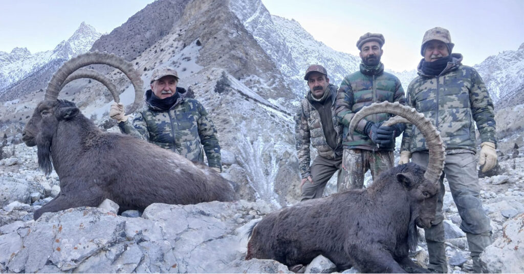 American hunter legally hunting a 39-inch horned Himalayan Ibex in Upper Hunza, Gilgit-Baltistan, under community-controlled trophy hunting program