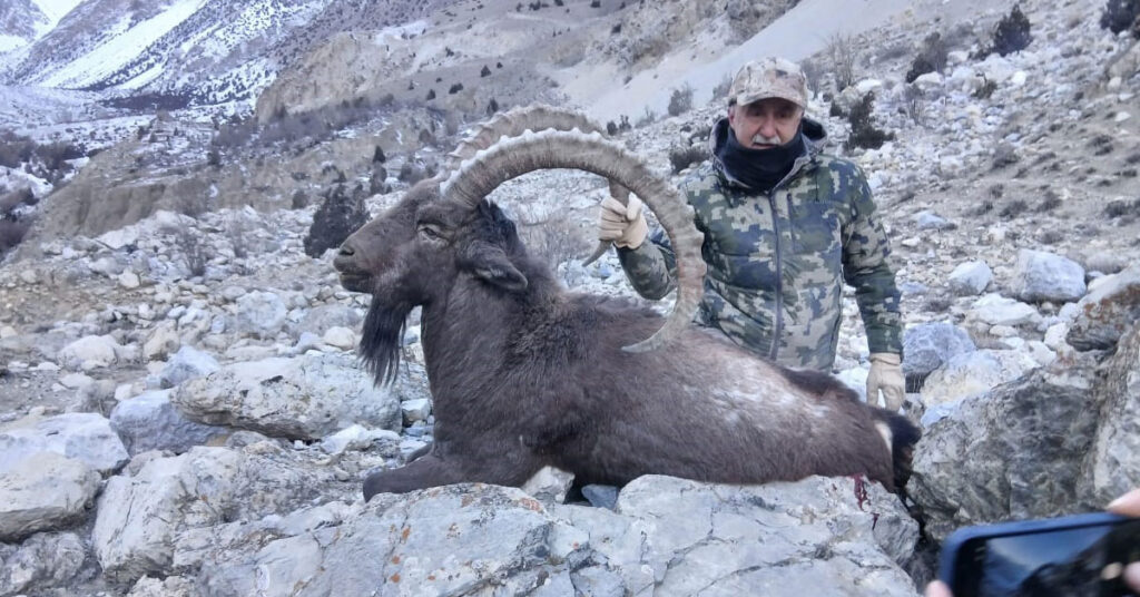 American hunter legally hunting a 39-inch horned Himalayan Ibex in Upper Hunza, Gilgit-Baltistan, under community-controlled trophy hunting program
