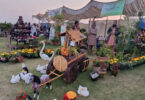 75th Pakistan Annual Flower Show 2026 Held in Karachi at Seaview