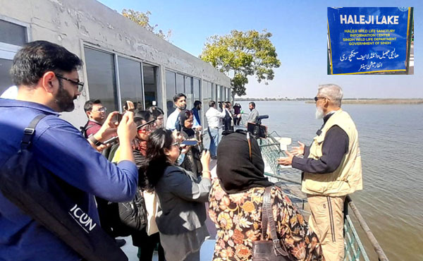 ہالیجی جھیل : مہمان پرندوں کی پناہ گاہ جو آلودگی اور پانی کی کمی کے باعث ویران ہو رہی ہے