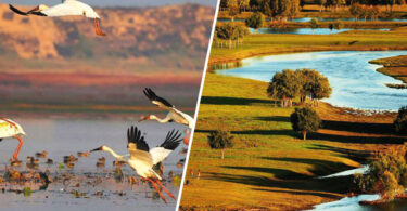 Restored wetlands integrated with urban infrastructure in China, showing water bodies, green spaces, and flood management systems as part of sustainable development.