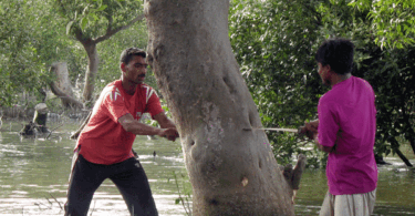 Opportunities for Sustainable Income Despite Climate Challenges