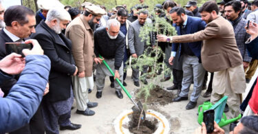 Spring Tree Plantation Drive 2026 Launched in Gilgit-Baltistan with Target of 3.5 Million Saplings