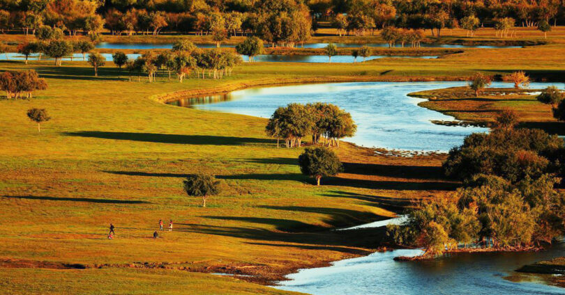 China’s wetland restoration programs combine law, technology, and community participation.