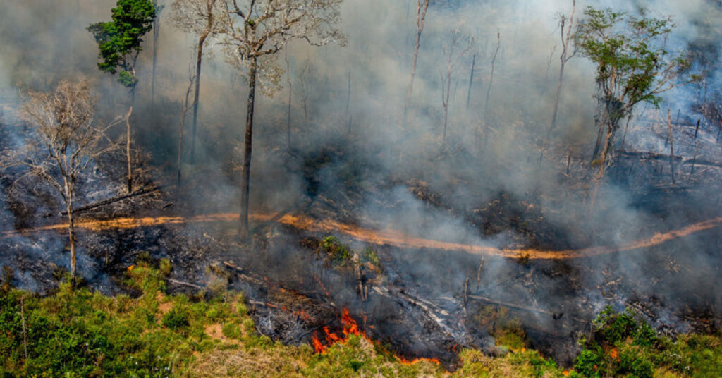 Smoke rising from a burning forest, symbolizing the growing risk of wildfires due to climate change.