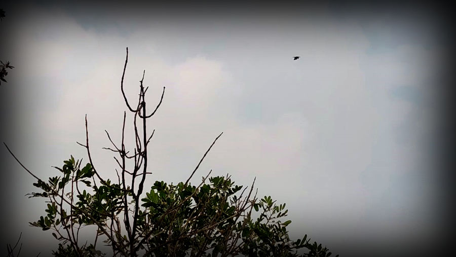 Karachi weather and air pollution update with thunderstorm forecast and AQI 198 recorded