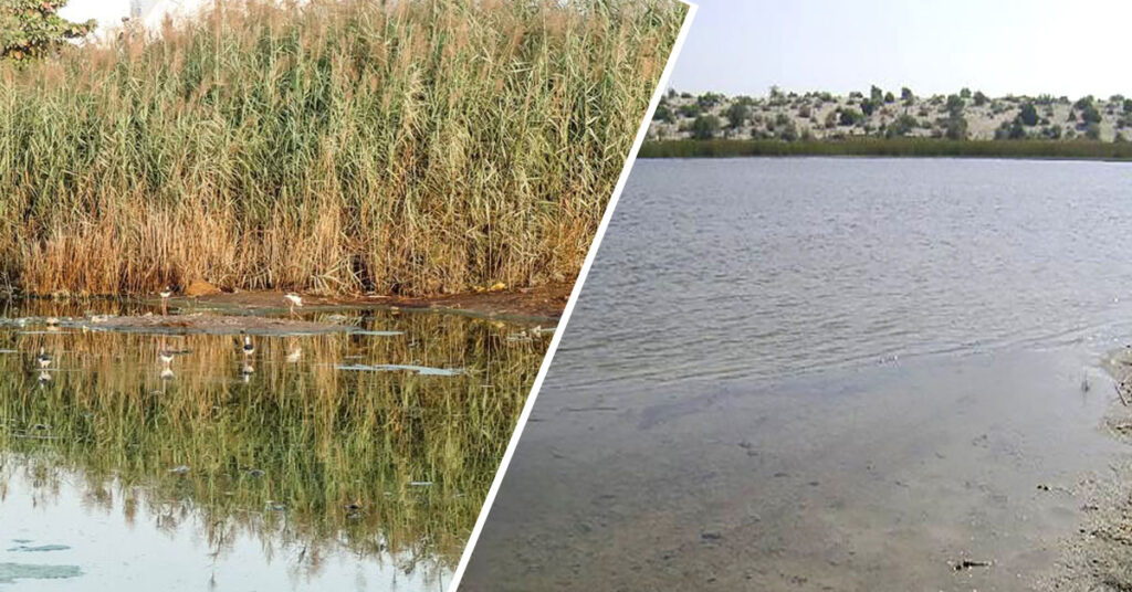 World Wetlands Day highlighting the degradation of wetlands in Pakistan due to urban expansion, pollution, and climate change