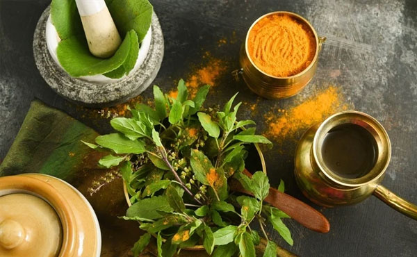 Today, the modern pharmaceutical industry also relies on chemical compounds derived from plants.