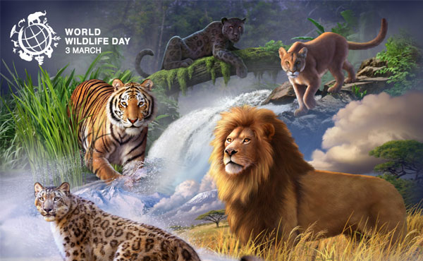 The decline of wildlife could negatively affect many aspects of human life.