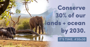 30x30 Conservation Target: The Future of Protected Areas and Biodiversity in Pakistan