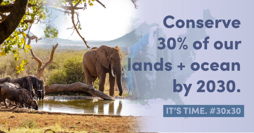 30x30 Conservation Target: The Future of Protected Areas and Biodiversity in Pakistan