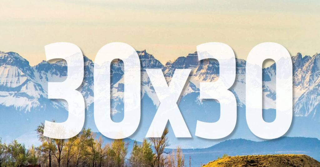 The destruction of sewage systems has led to increased marine pollution. Groundwater, already affected by salinity and contamination, is deteriorating further.
