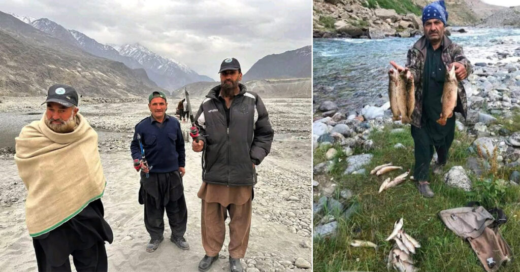 The rare fish faces serious threats in Kargah, Jaglot, and Chakarkot areas of Gilgit, as well as in the valleys of Phander, Gupis, Ishkoman, and Punial in Ghizer District.