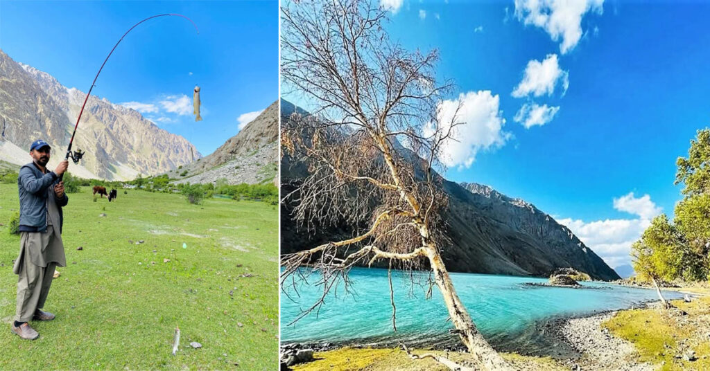 Trout fish are not only an important part of the natural ecosystem but are also highly significant for the region’s economy and tourism; therefore, effective measures for their conservation are essential.
