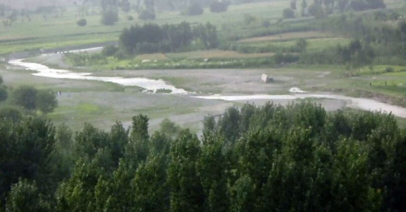 Climate Change Impact: Wetlands Dry Up in Bajaur, Decline in Migratory Birds