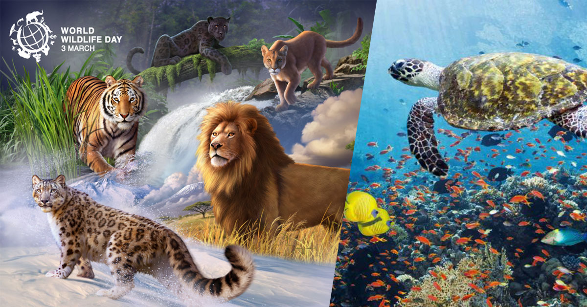 The extinction of any plant or animal species can ultimately pose a threat to human survival. Therefore, the protection of biodiversity is extremely important.