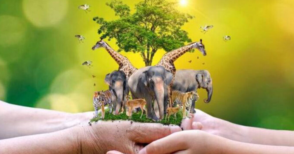 Wildlife plays an important role in various sectors such as food, fuel, medicine, clothing, and housing construction; therefore, its protection is a moral and collective responsibility.