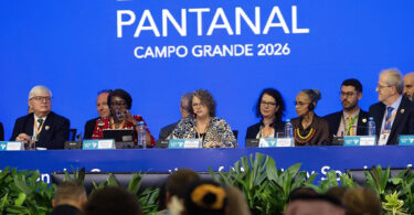 Migratory Wildlife: A Struggle for Survival and a Global Responsibility