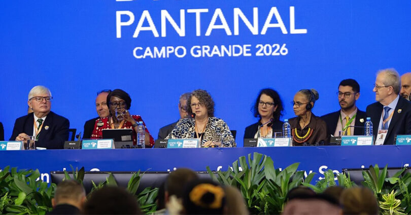 Migratory Wildlife: A Struggle for Survival and a Global Responsibility